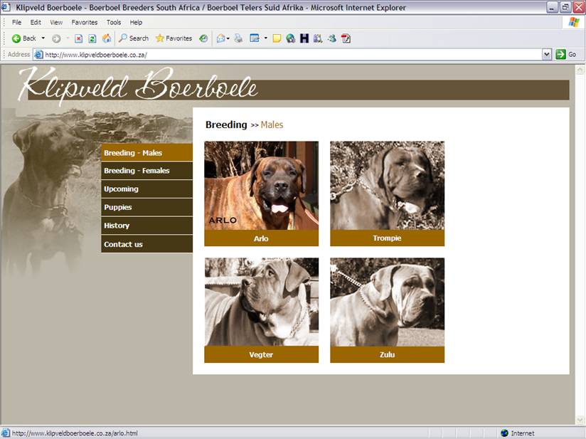 Klipveld Boerboele