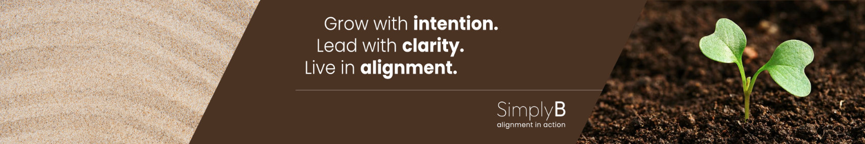 portfolio simplyb linkedin banner